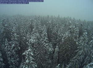 Snow cover over tree tops at Wind River Forest in Stevenson, WA.